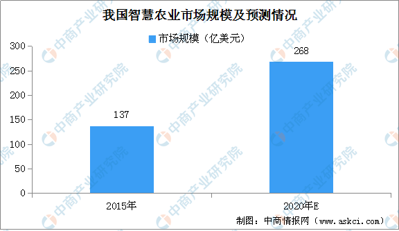 吉林地区手机补贴政策展望至2025年，未来发展趋势分析