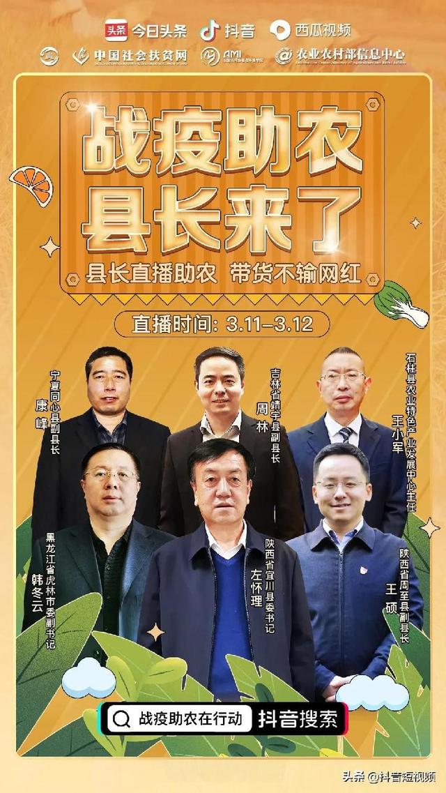 体育 第87页