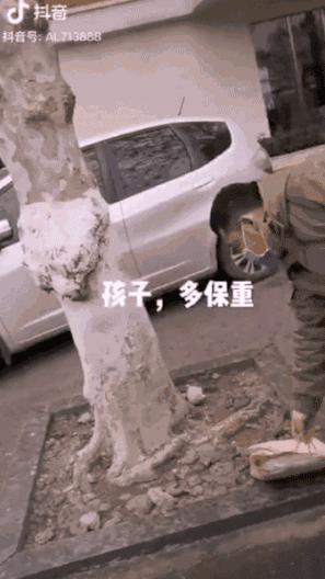 疫情期间抖音，数字时代的情感纽带与信息桥梁