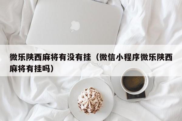 微乐陕西麻将有没有挂（微信小程序微乐陕西麻将有挂吗）